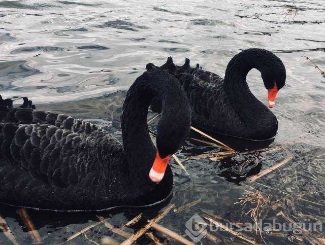 Günün en çok paylaşılan fotoğrafları
