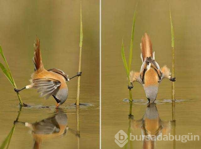 Günün en çok paylaşılan fotoğrafları