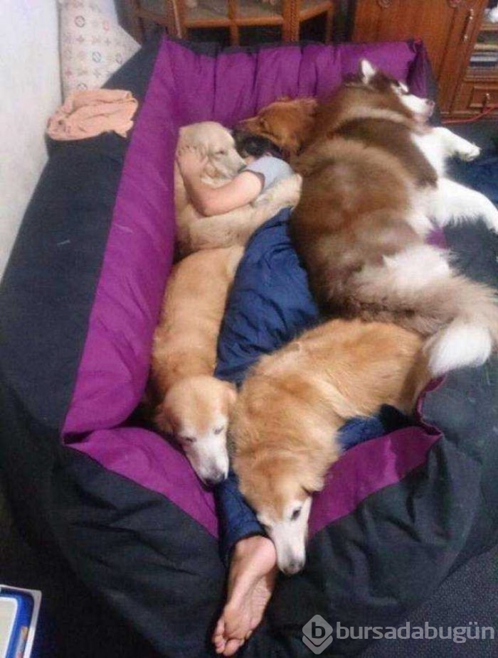 Günün en çok paylaşılan fotoğrafları