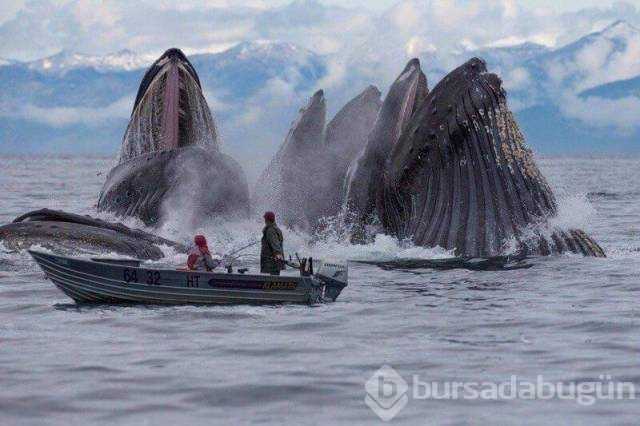 Günün en çok paylaşılan fotoğrafları