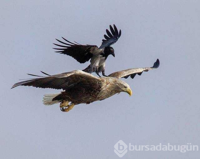 Günün en çok paylaşılan fotoğrafları