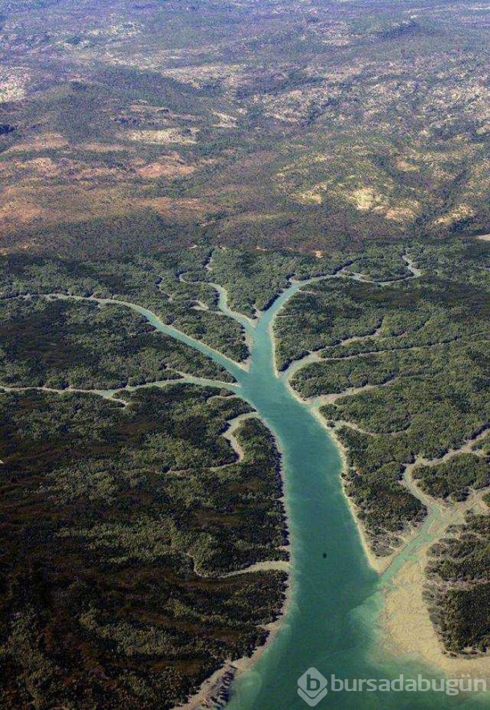 Günün en çok paylaşılan fotoğrafları