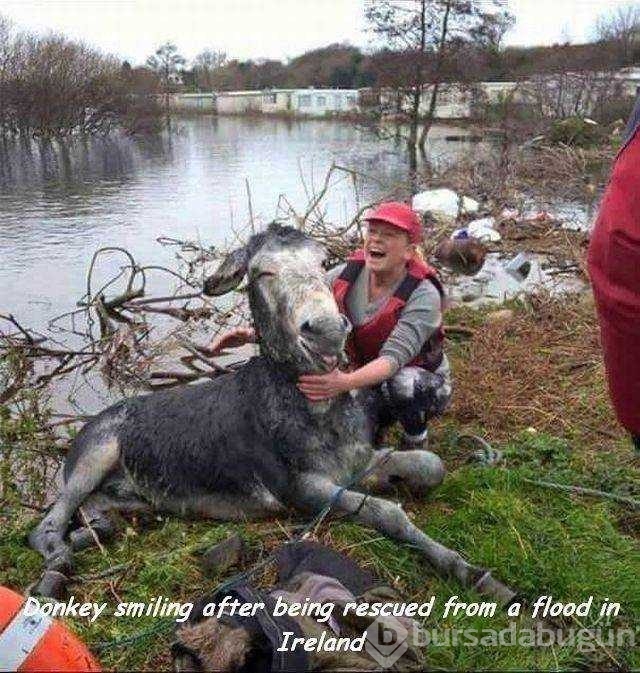 Günün en çok paylaşılan fotoğrafları