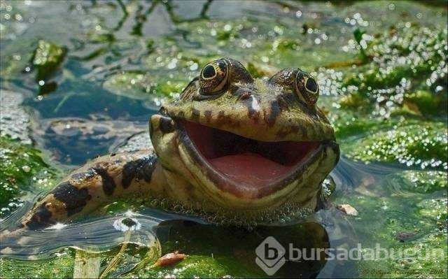 Günün en çok paylaşılan fotoğrafları