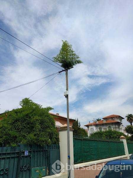 Günün en çok paylaşılan fotoğrafları