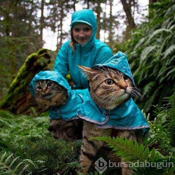 Günün en çok paylaşılan fotoğrafları
