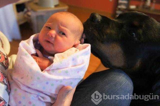 Günün en çok paylaşılan fotoğrafları