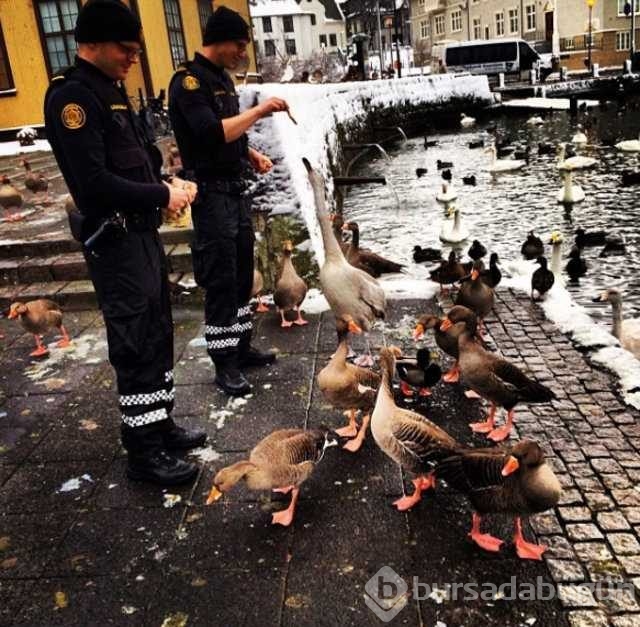 Dünyanın en huzurlu ülkesi İzlanda'nın polisleri sosyal medyada fenomen oldu! 
