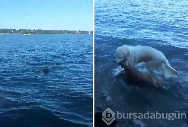 Dünyada yaşanan tüyler ürpertici anlar!