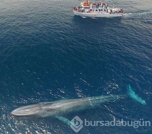 Dünyada yaşanan tüyler ürpertici anlar!