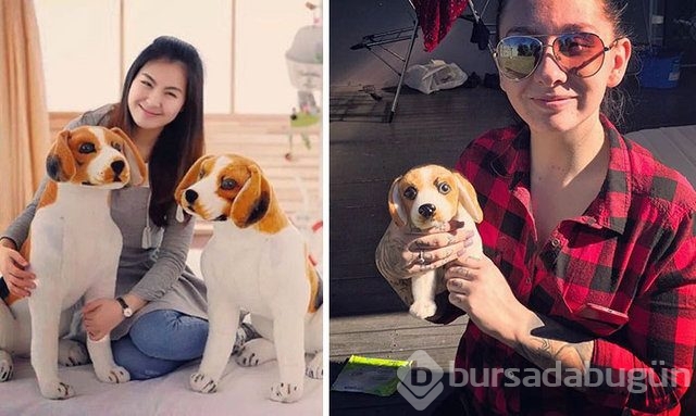 İnternette görüp sipariş verenleri şaşkınlığa uğratan ürünler!
