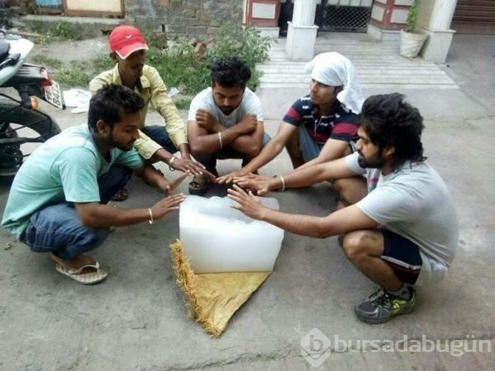 Bunları sadece Hindistan'da görebilirsiniz!
