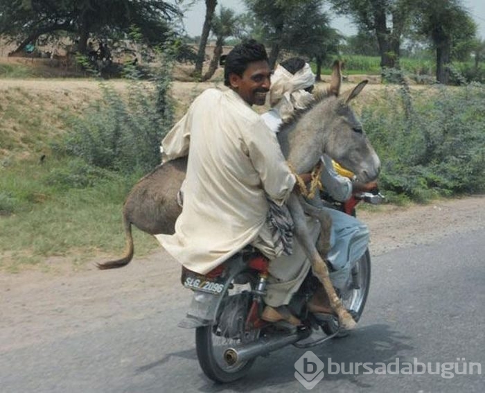 Bunları sadece Hindistan'da görebilirsiniz!
