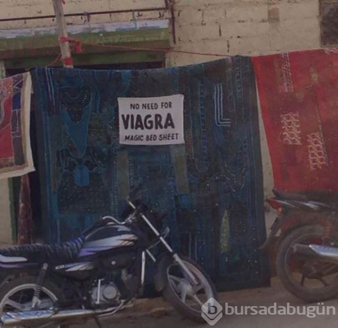 Bunları sadece Hindistan'da görebilirsiniz!

