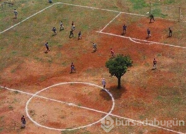 Bunları sadece Hindistan'da görebilirsiniz!
