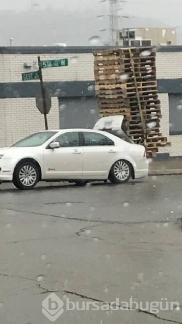 Sosyal medyada günün en çok paylaşılan fotoğrafları

