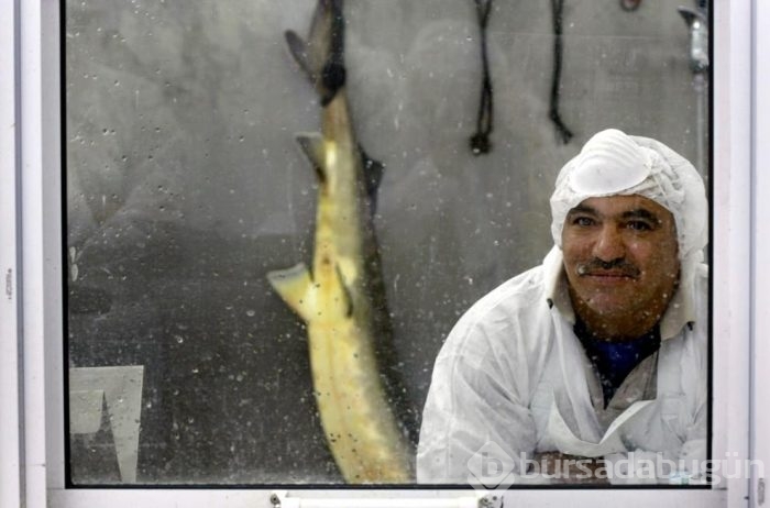 Dünyanın en pahalı yiyeceği! Kilosu 5 bin eurodan satılıyor!