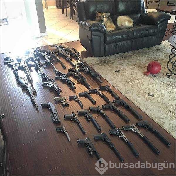 Günün en çok paylaşılan fotoğrafları
