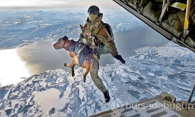 Günün en çok paylaşılan fotoğrafları
