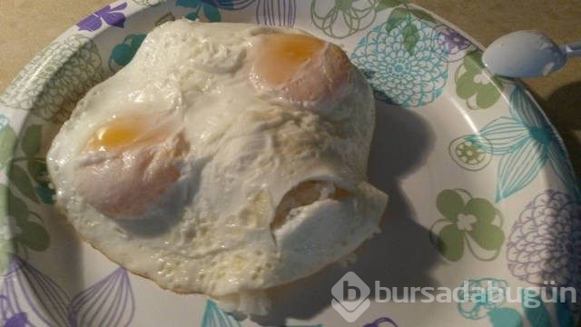 Günün en çok paylaşılan fotoğrafları
