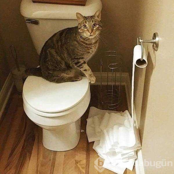 Günün en çok paylaşılan fotoğrafları
