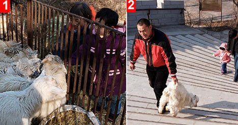 Vahşi yaşamdan muhteşem fotoğraflar!