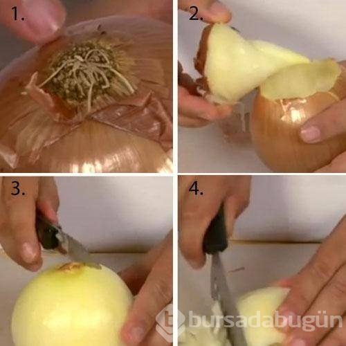 İşte ufkunuzu açacak ilginç bilgiler
