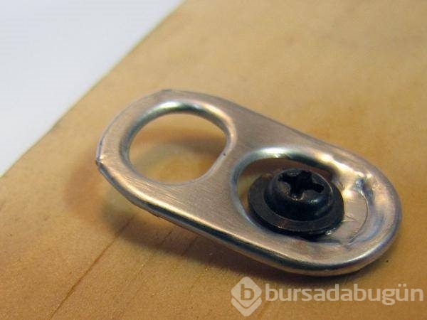 İşte ufkunuzu açacak ilginç bilgiler
