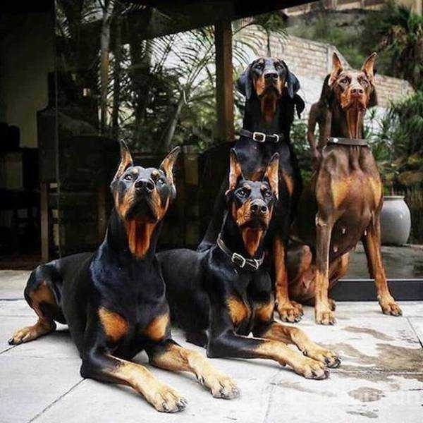 Günün en çok paylaşılan fotoğrafları