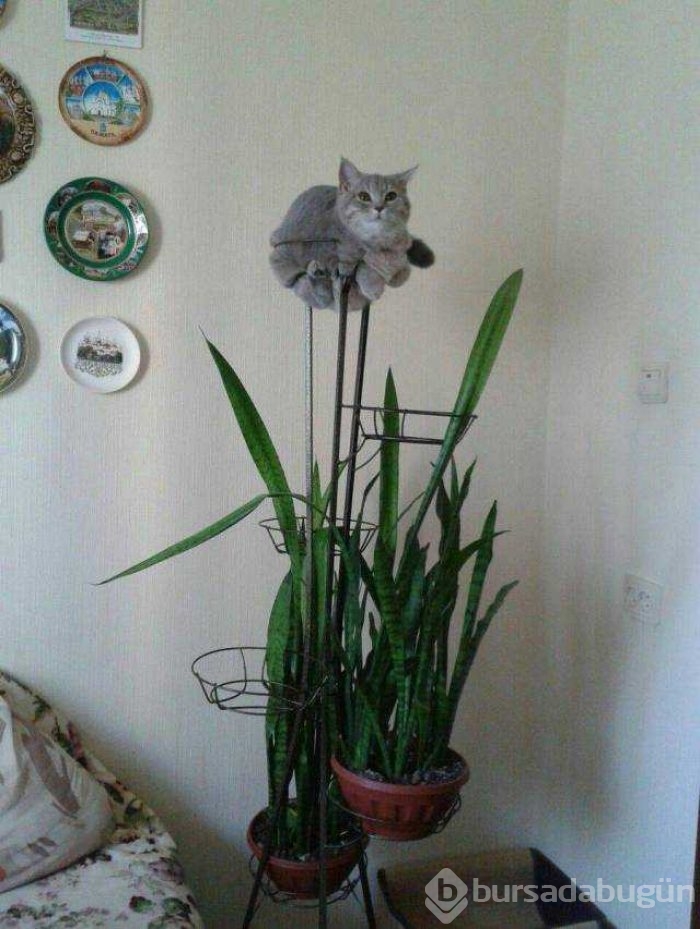 Günün en çok paylaşılan fotoğrafları