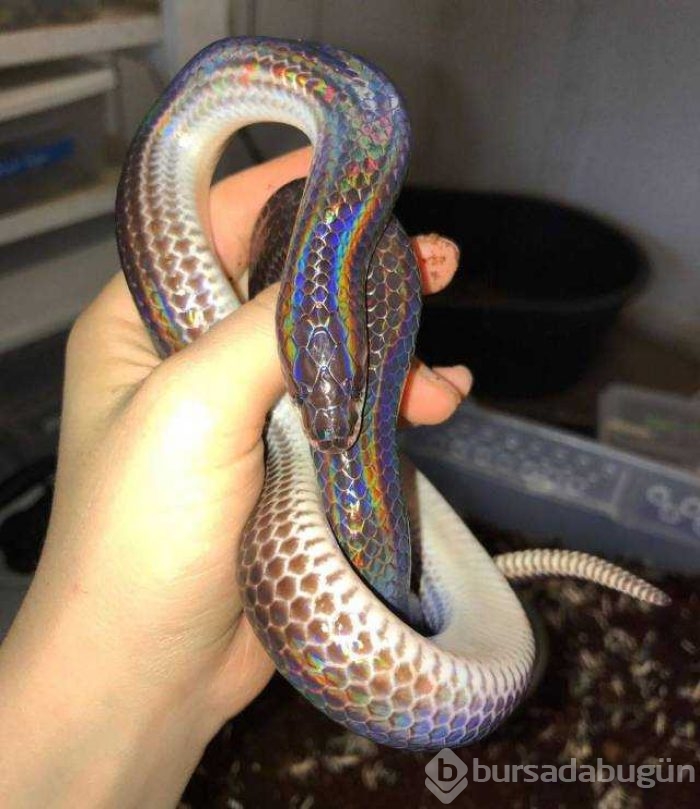 Günün en çok paylaşılan fotoğrafları