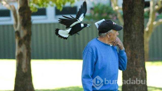 Günün en çok paylaşılan fotoğrafları