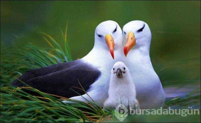 Günün en çok paylaşılan fotoğrafları