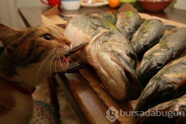 Günün en çok paylaşılan fotoğrafları