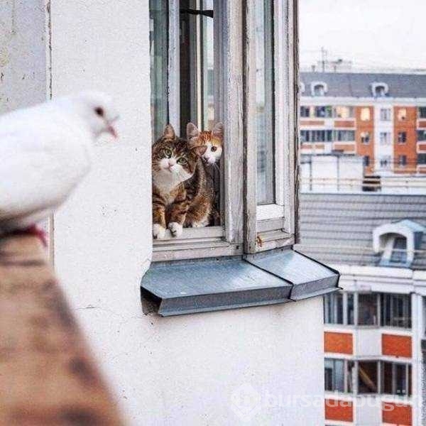 Günün en çok paylaşılan fotoğrafları