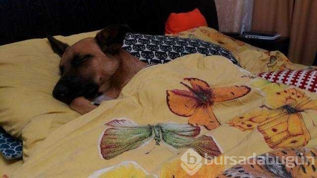 Günün en çok paylaşılan fotoğrafları