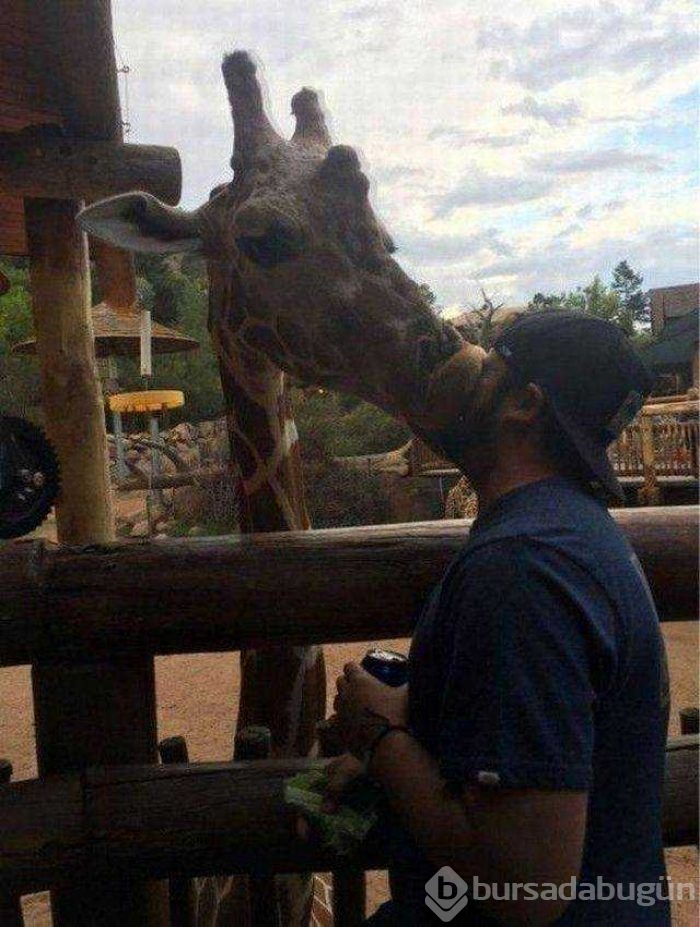 Günün en çok paylaşılan fotoğrafları