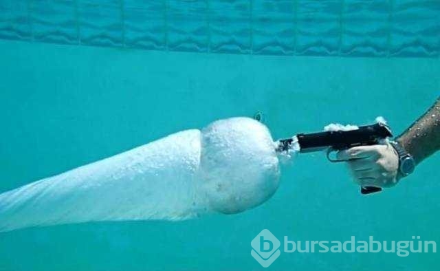 Günün en çok paylaşılan fotoğrafları