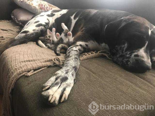 Günün en çok paylaşılan fotoğrafları