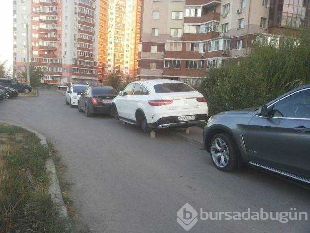 Günün en çok paylaşılan fotoğrafları