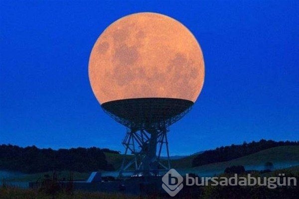 İnanması güç ama bu kareler gerçek!