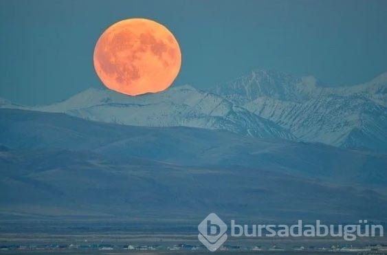 İnanması güç ama bu kareler gerçek!
