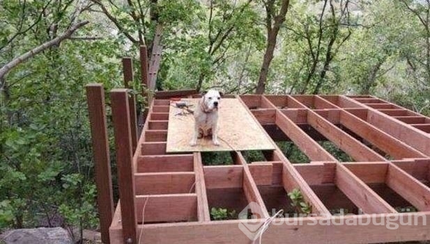 Babadan kızına sıra dışı sürpriz!
