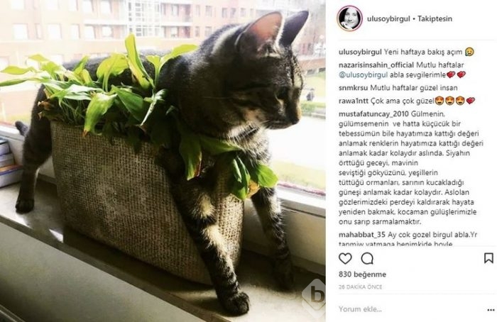 Ünlü isimlerin Instagram paylaşımları (19.03.2018)