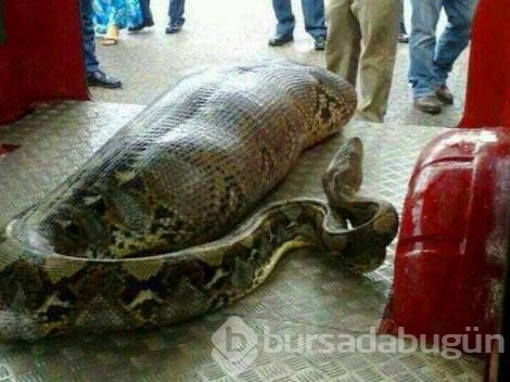 Dünyadan ilginç fotoğraflar görenlerin ağzını açık bırakıyor! 