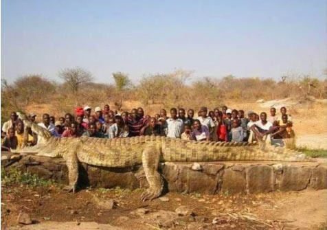 Dünyadan ilginç fotoğraflar görenlerin ağzını açık bırakıyor! 