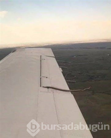Dünyadan ilginç fotoğraflar görenlerin ağzını açık bırakıyor! 