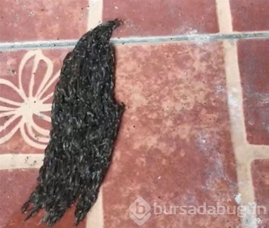 Dünyadan ilginç fotoğraflar görenlerin ağzını açık bırakıyor! 