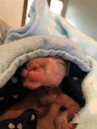 Dünyadan ilginç fotoğraflar görenlerin ağzını açık bırakıyor! 