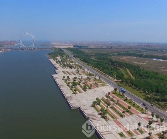 Dünyadan ilginç fotoğraflar görenlerin ağzını açık bırakıyor! 